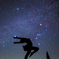 シリウスダンサー