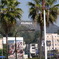 HOLLYWOOD