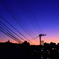 電線