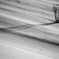 Shadow of winter