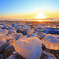 Ice　Egg