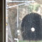 DSCF0332