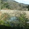 DSCF0334