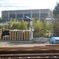 DSCF0339