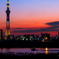 荒川土手の夕景..
