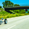 Cruizin'