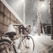 降る雪と自転車