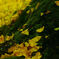 20141031_0006