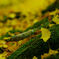 20141031_0008