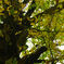 20141031_0025