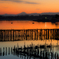 多々良沼夕景