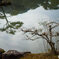 DSC00963