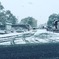 八代宮 大雪