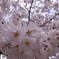 R0010702