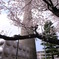 R0010717
