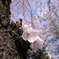 R0010774