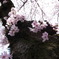 R0010747