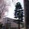 R0010754