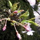 R0010778