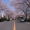 R0010787