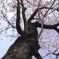 R0010799