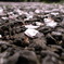 R0010801