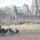 No TukTuk Day