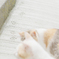 猫スタンプ