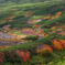 大雪山の紅葉