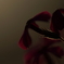 春