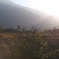 Maui morning
