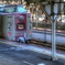 やくも景　雪の訪れ