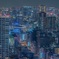 大都会
