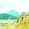 池田湖にて