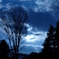 P1000098.JPG