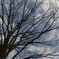 P1000106.JPG