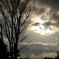 P1000111.JPG
