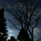 P1000119.JPG
