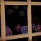 show Window