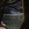 栗林公園