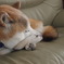 実家にて