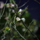 DSC00017