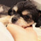 愛犬さん