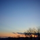 夕暮れ