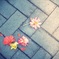 朽花