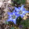 R0010559
