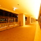 DSC01019