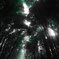 DSC01920