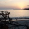 夕刻C