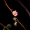 P2050111RAW